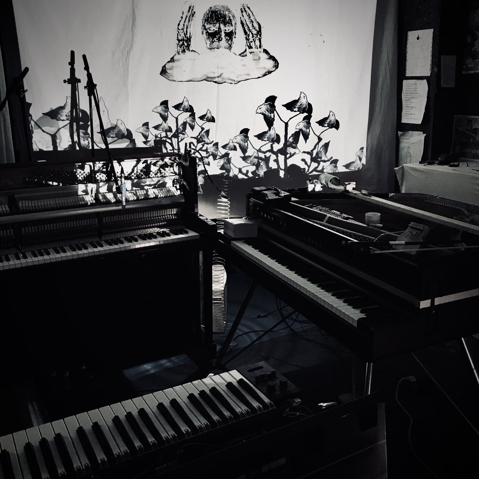 Interior del estudio